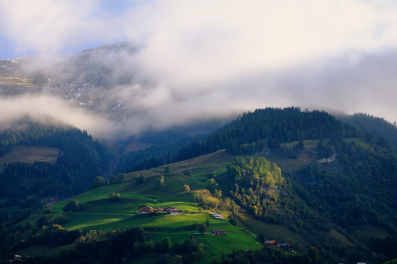 Nature background